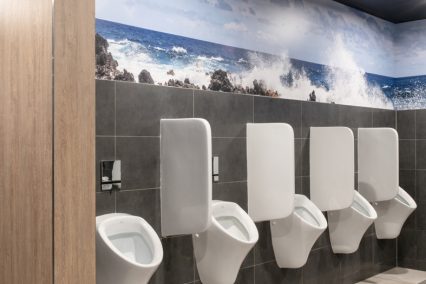 Urinal dividers for privacy
